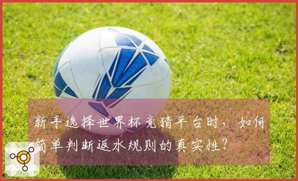 新手选择世界杯竞猜平台时,如何简单判断返水规则的真实性?